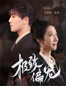 希特勒的隐形战机