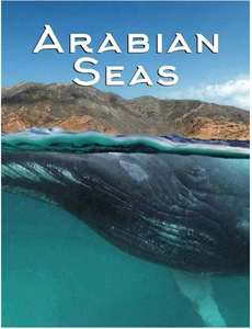 ハイレグプリンセス林田百加