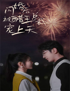 杨洋美工视频组