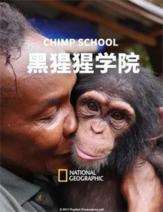 寒冰末日:我屯了千亿物资 第一季