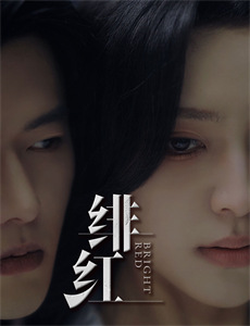 圣诞树1:爸爸是总统