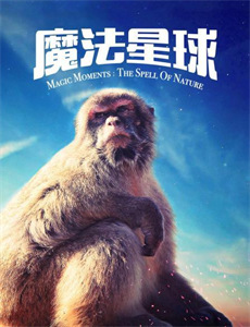 像小强一样活着川话版